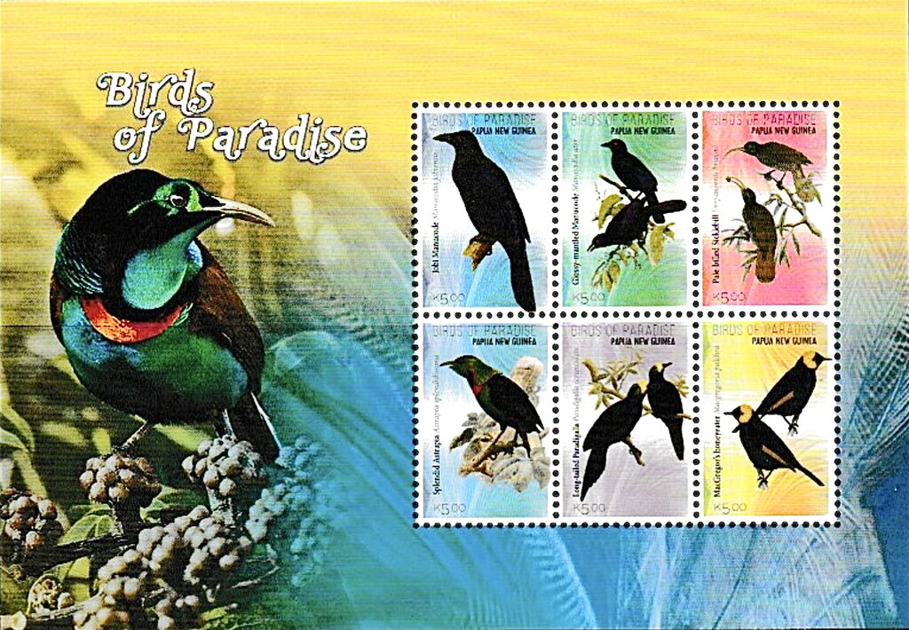 Birds of Paradise