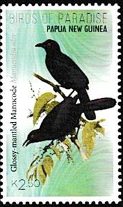 Stamp, Glossy-Mantled Manucode (Manucodia ater), Papua New Guinea,  , Birds