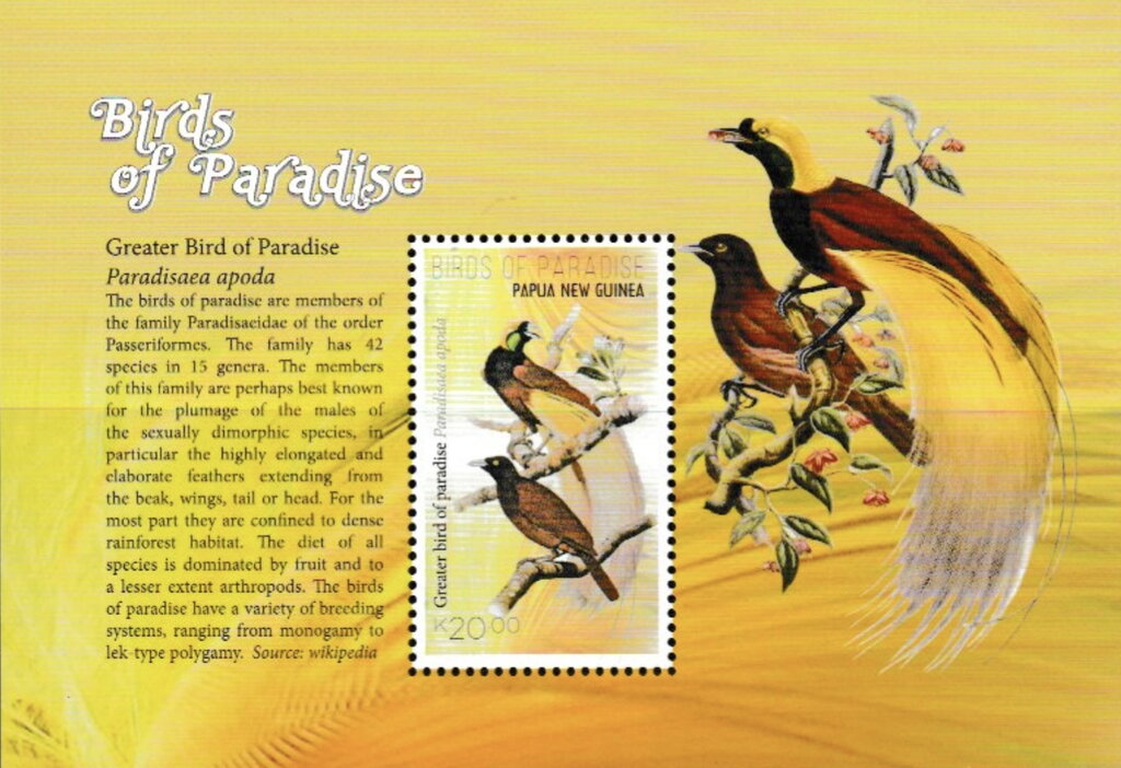 Greater Bird-of-Paradise (Paradisaea apoda)
