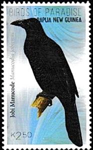 Stamp, Jobi Manucode (Manucodia jobiensis), Papua New Guinea,  , Birds