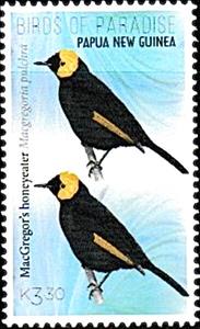 Stamp, MacGregor's Honeyeater (Macgregoria pulchra), Papua New Guinea,  , Birds
