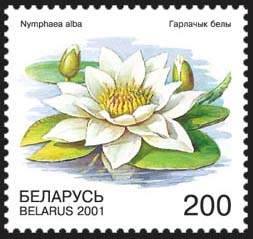 Stamp Rare Flowers – Water-lily