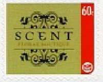Scent Floral Boutique - Kirkcaldie and Stains