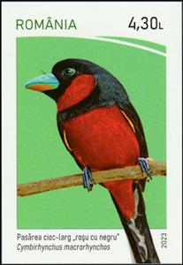 Stamp, Black-and-Red Broadbill (Cymbirhynchus macrorhynchos), Romania,  , Animals (Fauna), Birds