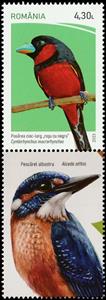 Stamp with Attached Label, Black-and-Red Broadbill (Cymbirhynchus macrorhynchos), Romania,  , Animals (Fauna), Birds
