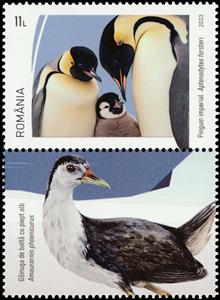 Stamp with Attached Label, Emperor Penguin (Aptenodytes forsteri), Romania,  , Animals (Fauna), Birds, Pigeons