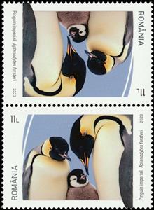 Tete-Beche, Emperor Penguin (Aptenodytes forsteri), Romania,  , Animals (Fauna), Birds, Penguins