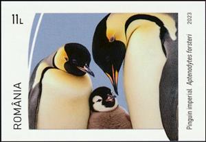 Stamp, Emperor Penguin (Aptenodytes forsteri), Romania,  , Animals (Fauna), Birds, Penguins