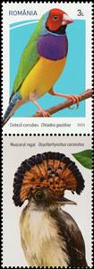 Stamp with Attached Label, Gouldian Finch (Chloebia gouldiae), Romania,  , Animals (Fauna), Birds