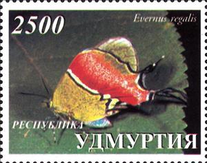 Stamp, Evernus regalis, Russia, Udmurtia,  , Animals (Fauna), Butterflies, Insects