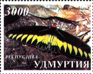 Stamp, Trogono ptera brookiana, Russia, Udmurtia,  , Animals (Fauna), Butterflies, Insects