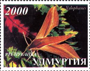 Stamp, Xylophanes, Russia, Udmurtia,  , Animals (Fauna), Butterflies, Insects