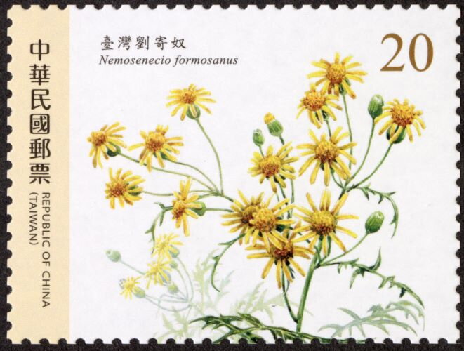 Nemosenecio formosanus