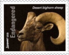 Stamp, Desert Bighorn Sheep (Ovis canadensis nelsoni), United States of America,  , Animals (Fauna), Mammals, Sheep