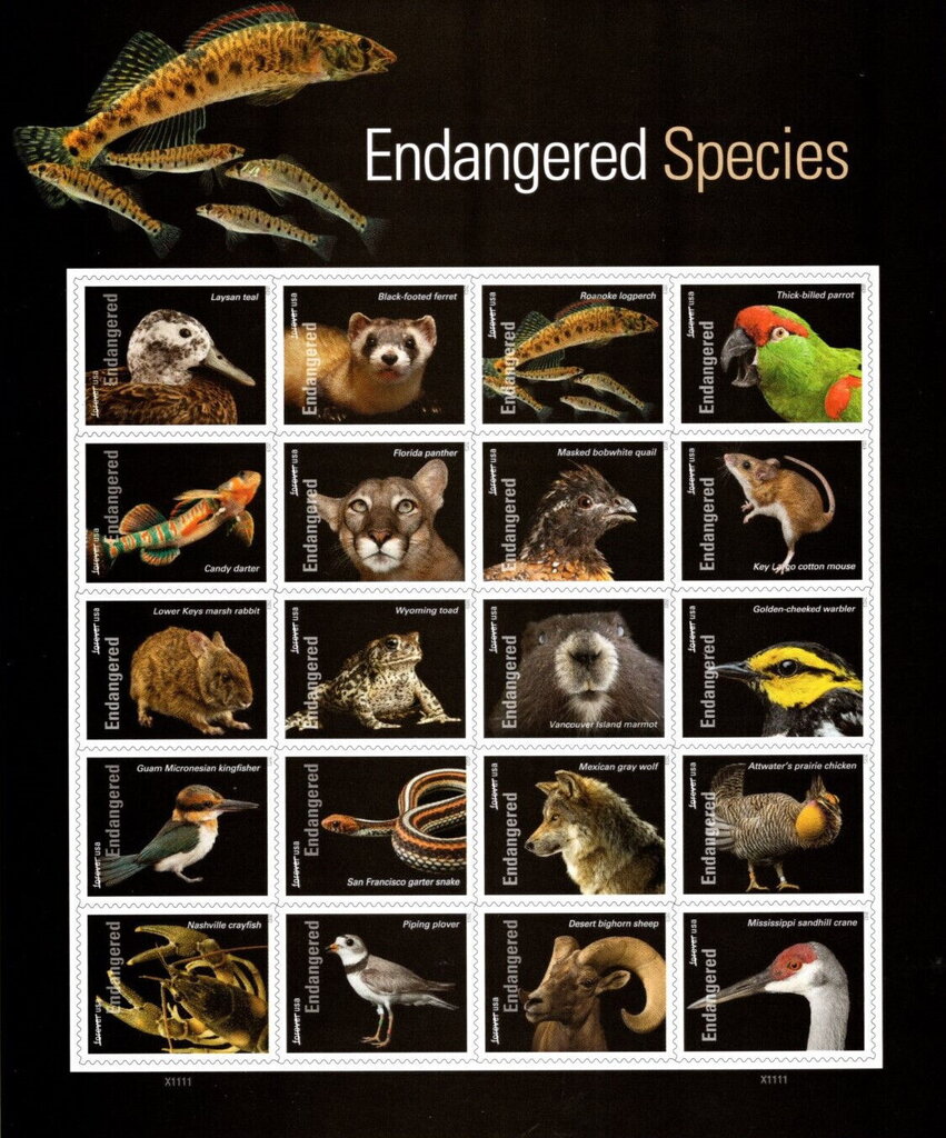 Endangered Species