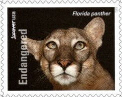 Stamp, Florida Panther (Puma concolor couguar), United States of America,  , Animals (Fauna), Cougars, Mammals, Wild Cats