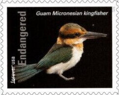 Stamp, Guam Micronesian Kingfisher (Todiramphus cinnamominus), United States of America,  , Animals (Fauna), Birds, Kingfishers