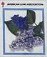 American Lung Association Easter 2003 Lilac