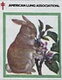 American Lung Association Easter 2003 Rabbit 2