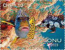 Fishes from Tubbataha Reef, Philippines
