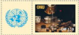 World Tea Day 2023