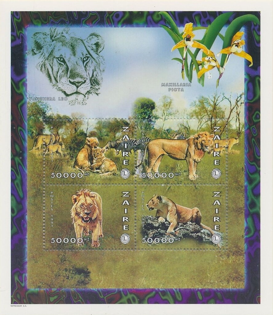 African Fauna Lions (Panthera Leo)