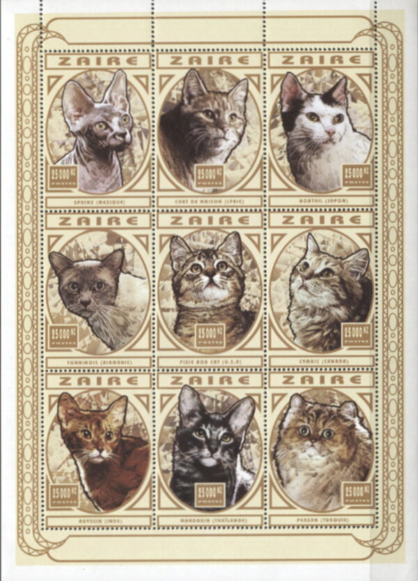 Cats