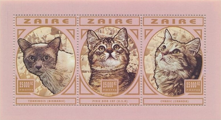 Cats