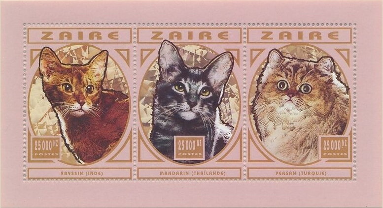 Cats
