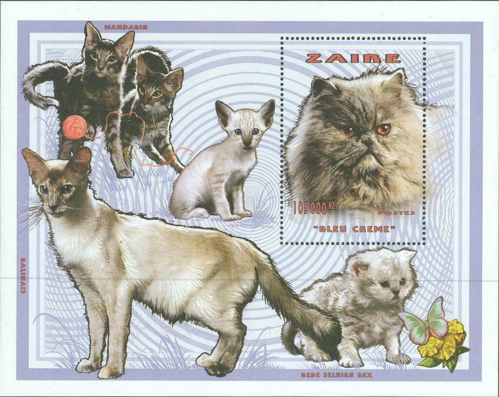 Cats