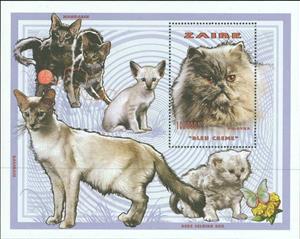 Souvenir Sheet, Cats, Zaire,  , Animals (Fauna), Cats, Mammals