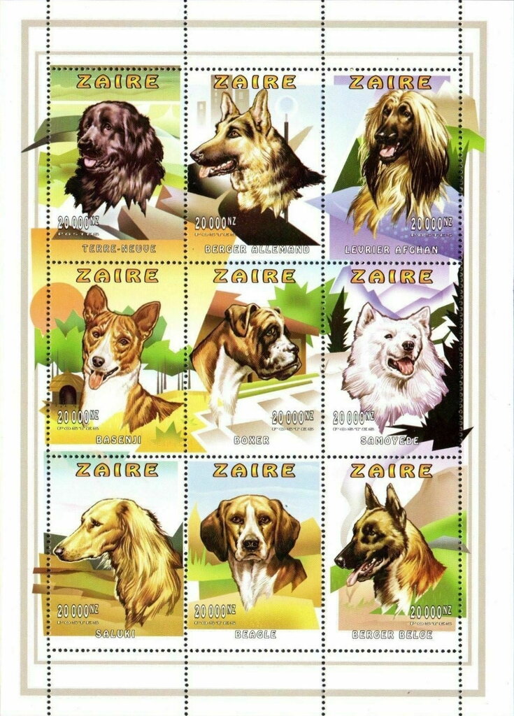 Dogs