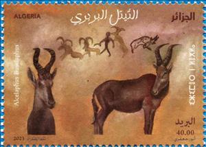 Stamp, Hartebeest (Alcelaphus buselaphus), Algeria,  , Animals (Fauna), Antelopes, Mammals