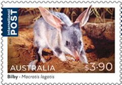 Bilby (Macrotis lagotis)