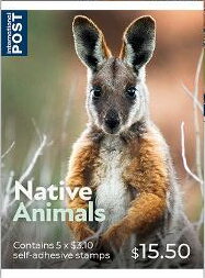 Yellow-Footed Rock-Wallaby (Petrogale xanthopus)