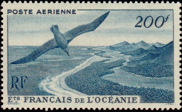 Wandering Albatross (Diomedea exulans) over Maupiti