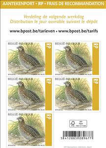 Booklet, Common Quail (Coturnix coturnix), Belgium,  , Animals (Fauna), Birds