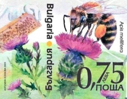 20th International Beekeeping Exhibition, Pleven