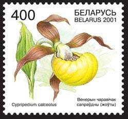 Stamp, Stamp Rare Flowers – Lady's sleeper, Belarus,  