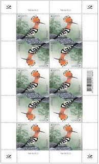 Full Pane, Eurasian Hoopoe (Upupa epops), Estonia,  , Animals (Fauna), Birds, C.E.P.T. / Europe