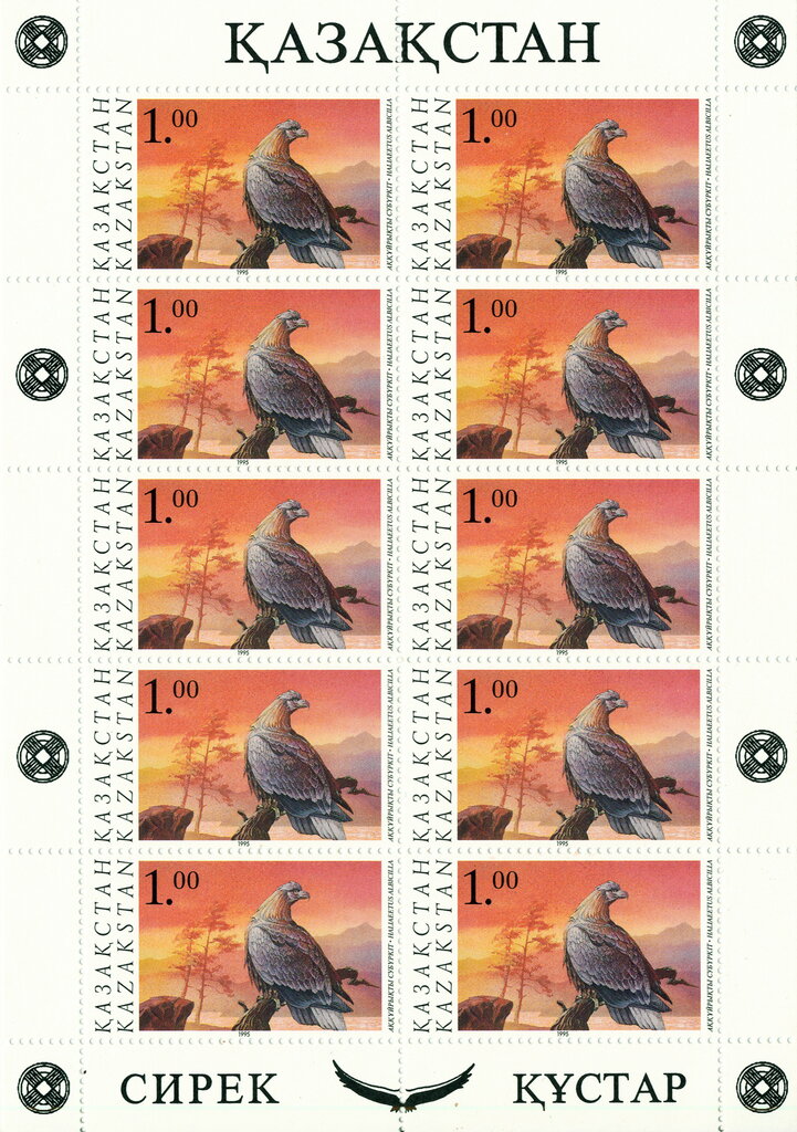 White-tailed Sea Eagle (Haliaeetus albicilla)
