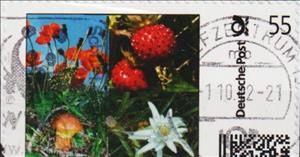 Stamp, Strawberries Flowers and a Toy Door, Personalized and Private Mail Stamps,  , Flowers, Fruits
