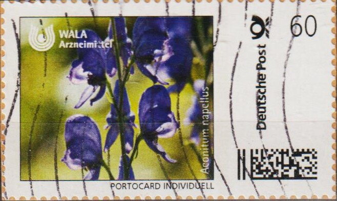 Wala Anmeimitte. Aconitum napellus