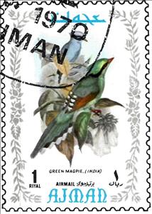 Stamp, Common Green Magpie (Cissa chinensis), Ajman,  , Animals (Fauna), Birds