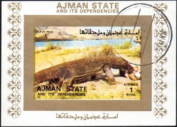 Monitor Lizard (Varanus spp.)