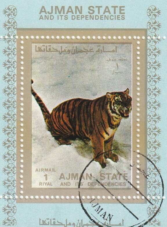 Tiger (Panthera tigris)