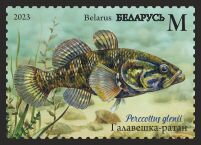 Stamp, Chinese Sleeper (Perccottus glenii), Belarus,  , Animals (Fauna), Fishes, Plants (Flora)