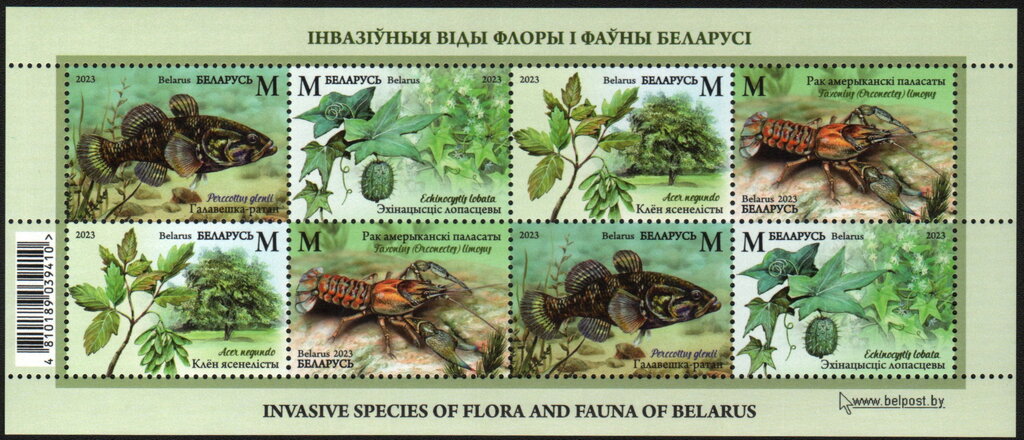Invasive species of flora and fauna of Belarus