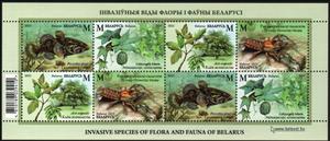 Mini Sheet, Invasive species of flora and fauna of Belarus, Belarus,  , Animals (Fauna), Fishes, Plants (Flora)