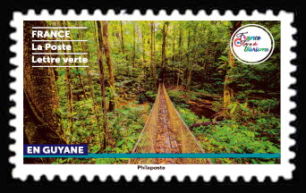 Hiking Trail, French Guiana